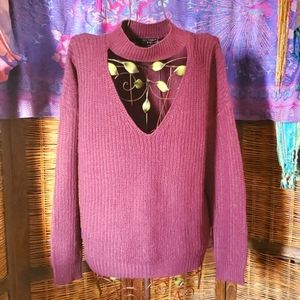 Plum V neck sweater